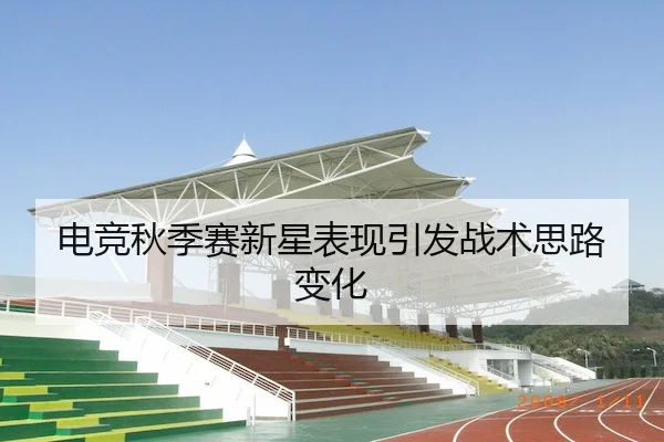 电竞秋季赛新星表现引发战术思路变化